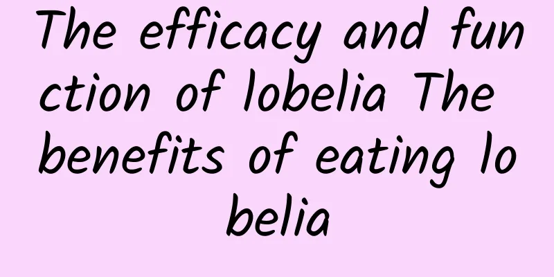 The efficacy and function of lobelia The benefits of eating lobelia