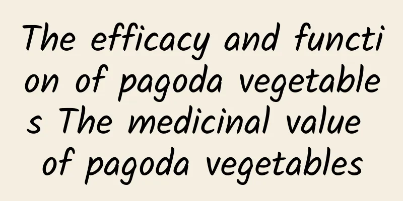 The efficacy and function of pagoda vegetables The medicinal value of pagoda vegetables