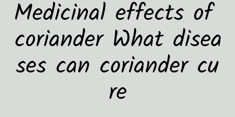 Medicinal effects of coriander What diseases can coriander cure