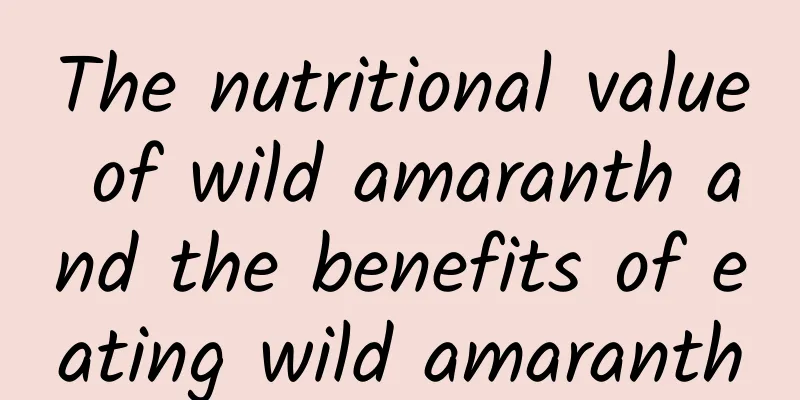 The nutritional value of wild amaranth and the benefits of eating wild amaranth