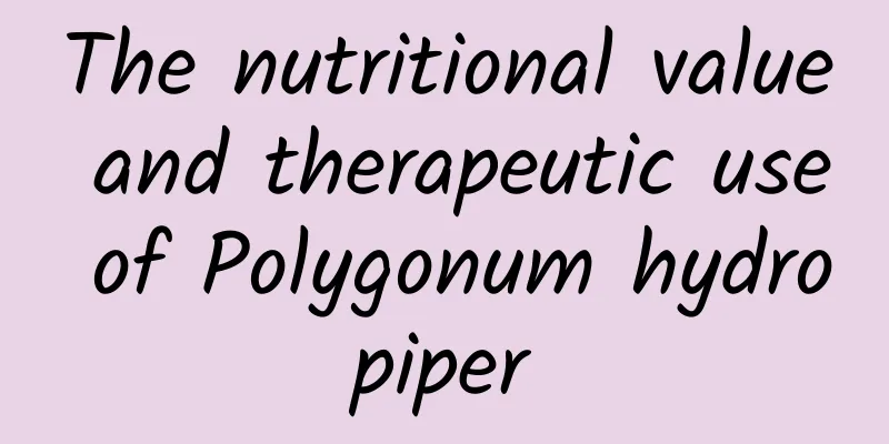 The nutritional value and therapeutic use of Polygonum hydropiper