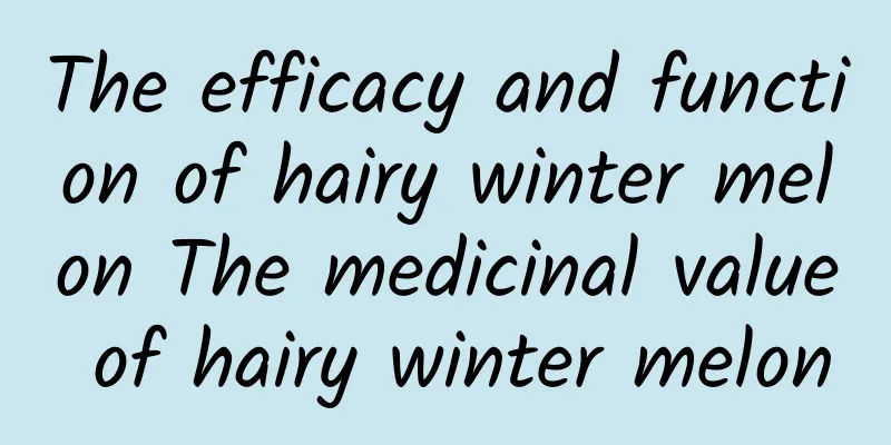 The efficacy and function of hairy winter melon The medicinal value of hairy winter melon