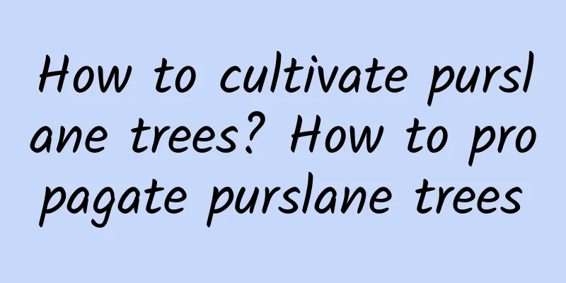 How to cultivate purslane trees? How to propagate purslane trees