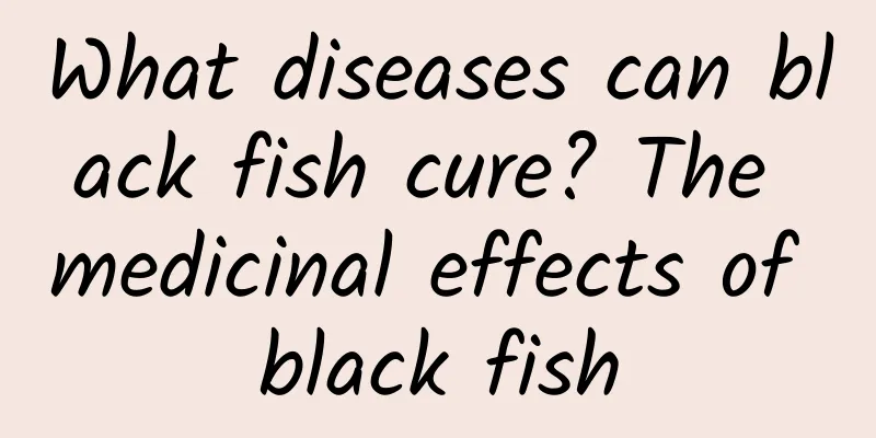 What diseases can black fish cure? The medicinal effects of black fish