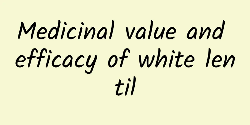 Medicinal value and efficacy of white lentil