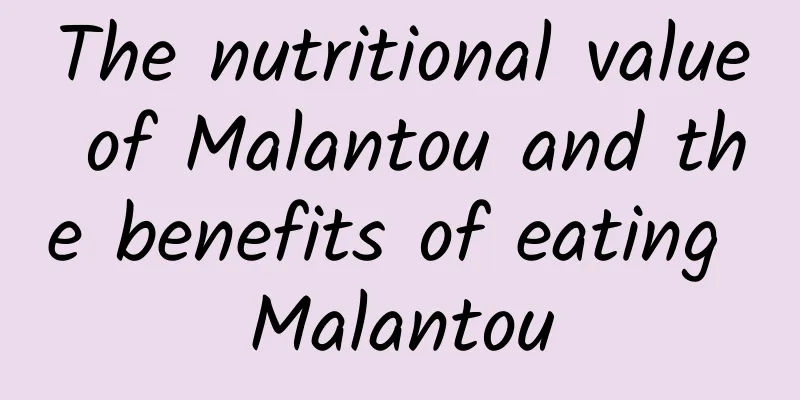 The nutritional value of Malantou and the benefits of eating Malantou