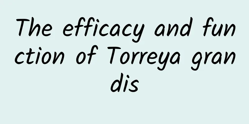 The efficacy and function of Torreya grandis