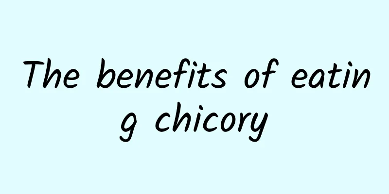 The benefits of eating chicory