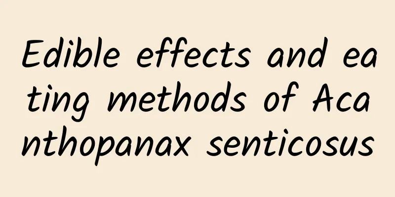 Edible effects and eating methods of Acanthopanax senticosus