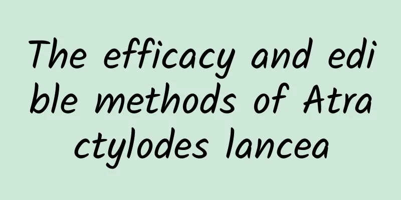 The efficacy and edible methods of Atractylodes lancea