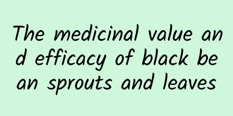 The medicinal value and efficacy of black bean sprouts and leaves