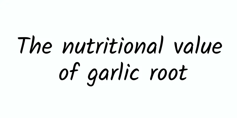 The nutritional value of garlic root