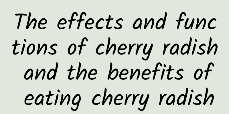 The effects and functions of cherry radish and the benefits of eating cherry radish