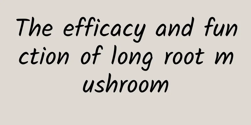 The efficacy and function of long root mushroom