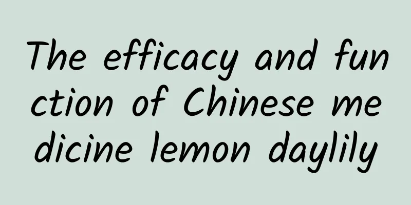 The efficacy and function of Chinese medicine lemon daylily