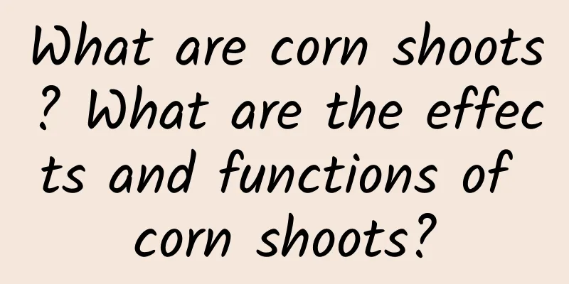 What are corn shoots? What are the effects and functions of corn shoots?