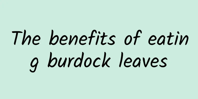 The benefits of eating burdock leaves