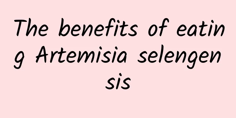 The benefits of eating Artemisia selengensis