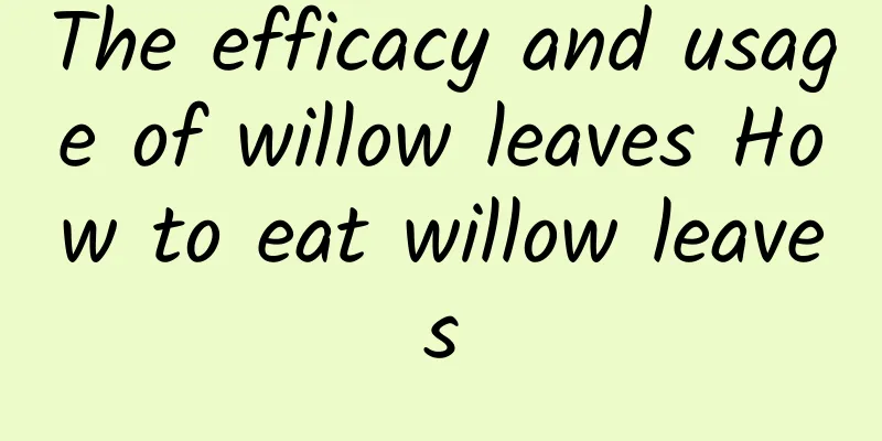 The efficacy and usage of willow leaves How to eat willow leaves