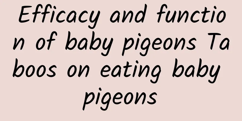 Efficacy and function of baby pigeons Taboos on eating baby pigeons