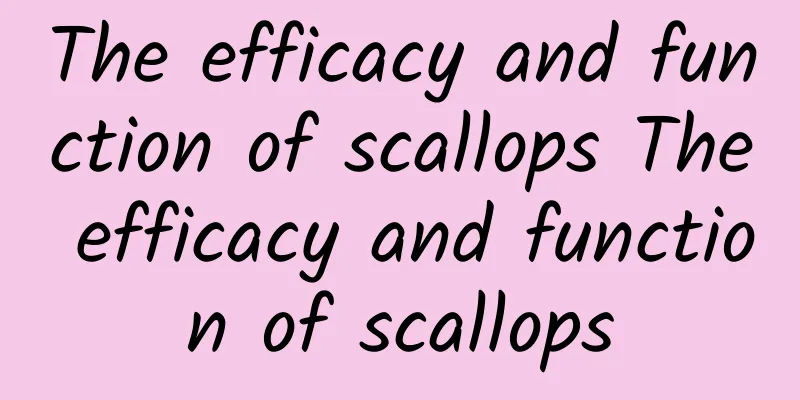 The efficacy and function of scallops The efficacy and function of scallops