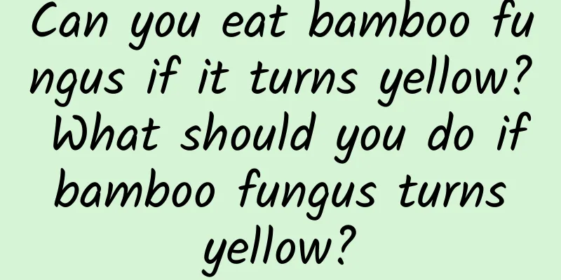 Can you eat bamboo fungus if it turns yellow? What should you do if bamboo fungus turns yellow?