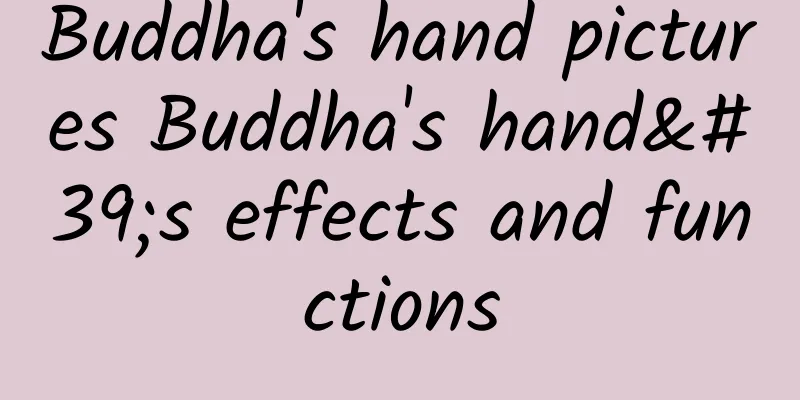 Buddha's hand pictures Buddha's hand's effects and functions