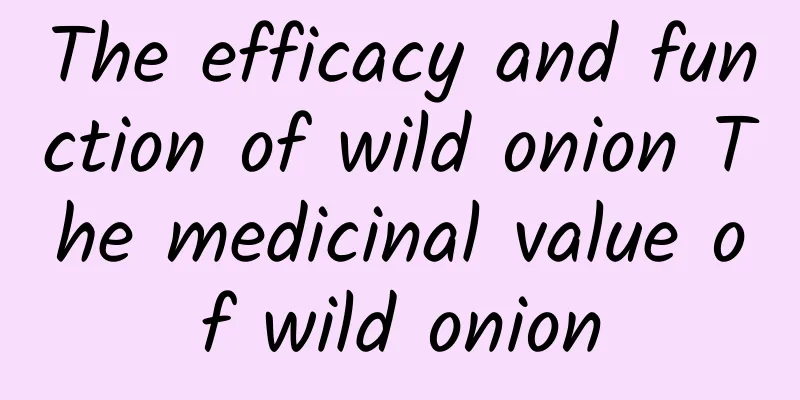 The efficacy and function of wild onion The medicinal value of wild onion