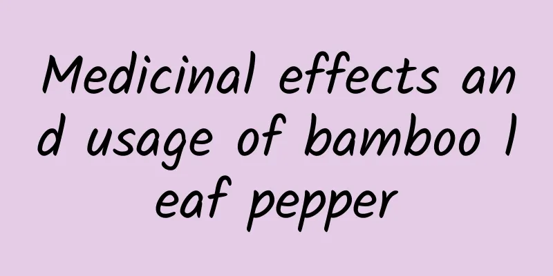 Medicinal effects and usage of bamboo leaf pepper