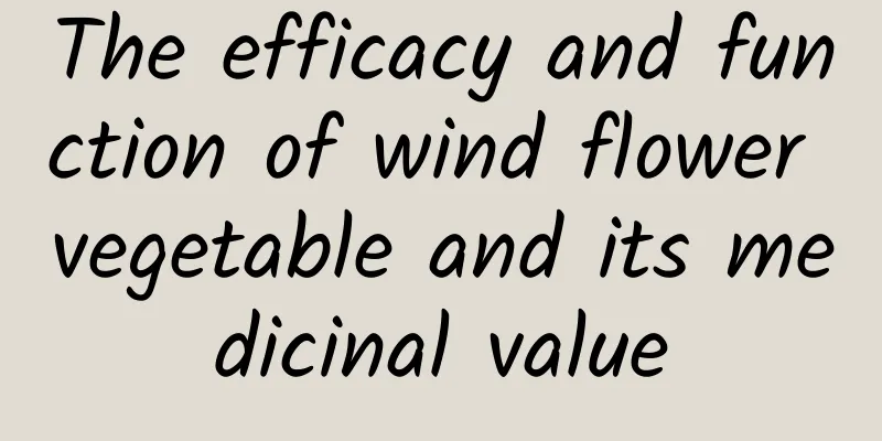 The efficacy and function of wind flower vegetable and its medicinal value