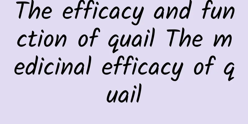 The efficacy and function of quail The medicinal efficacy of quail