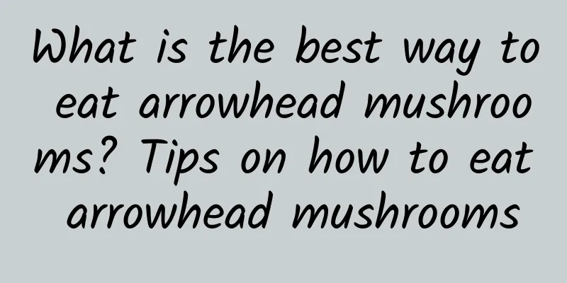 What is the best way to eat arrowhead mushrooms? Tips on how to eat arrowhead mushrooms