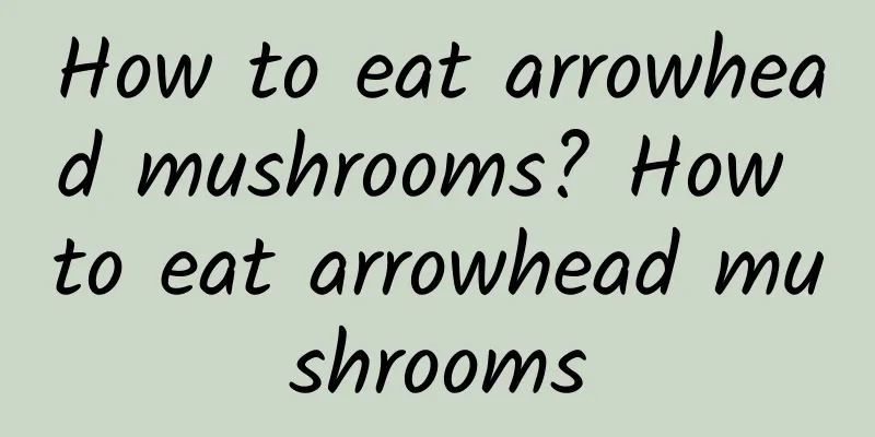 How to eat arrowhead mushrooms? How to eat arrowhead mushrooms