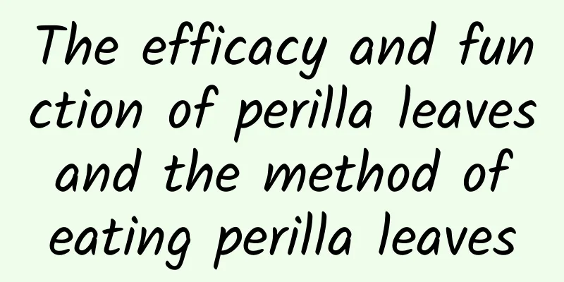 The efficacy and function of perilla leaves and the method of eating perilla leaves