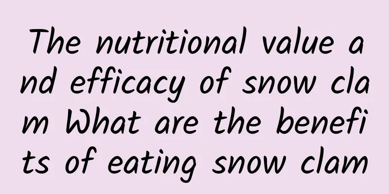 The nutritional value and efficacy of snow clam What are the benefits of eating snow clam