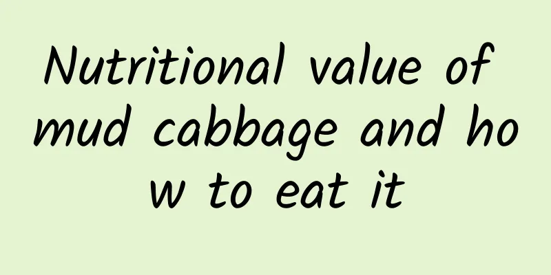 Nutritional value of mud cabbage and how to eat it