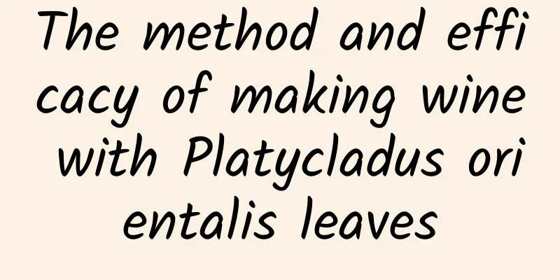 The method and efficacy of making wine with Platycladus orientalis leaves