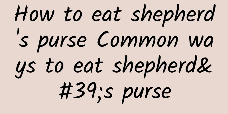 How to eat shepherd's purse Common ways to eat shepherd's purse