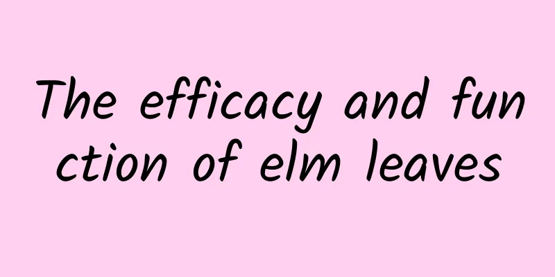 The efficacy and function of elm leaves