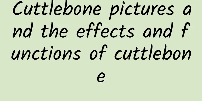 Cuttlebone pictures and the effects and functions of cuttlebone