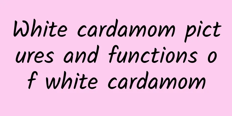 White cardamom pictures and functions of white cardamom