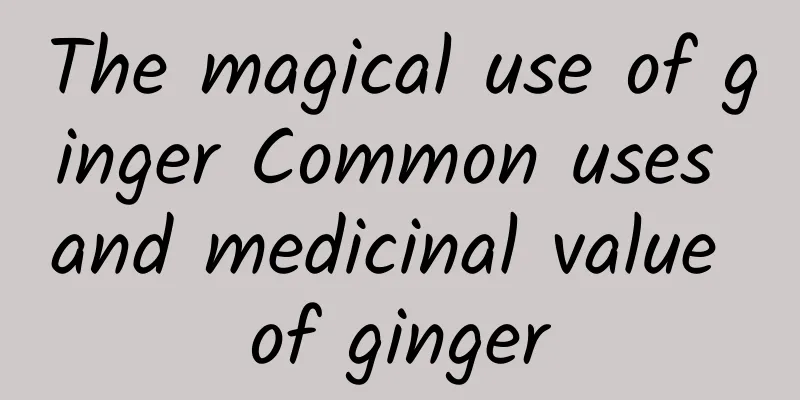 The magical use of ginger Common uses and medicinal value of ginger