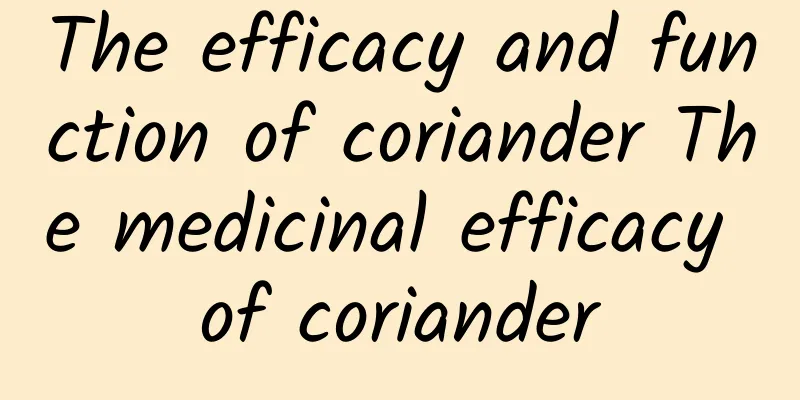 The efficacy and function of coriander The medicinal efficacy of coriander