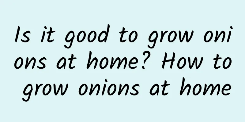 Is it good to grow onions at home? How to grow onions at home