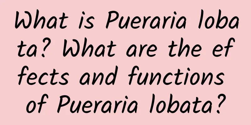 What is Pueraria lobata? What are the effects and functions of Pueraria lobata?