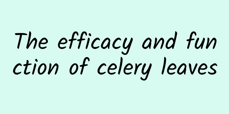 The efficacy and function of celery leaves