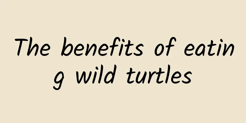 The benefits of eating wild turtles