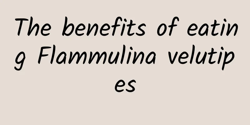 The benefits of eating Flammulina velutipes