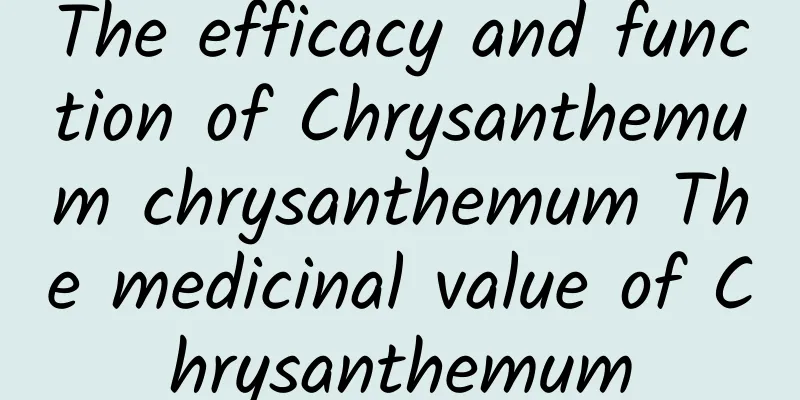 The efficacy and function of Chrysanthemum chrysanthemum The medicinal value of Chrysanthemum