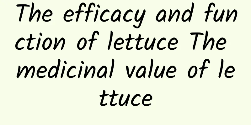 The efficacy and function of lettuce The medicinal value of lettuce